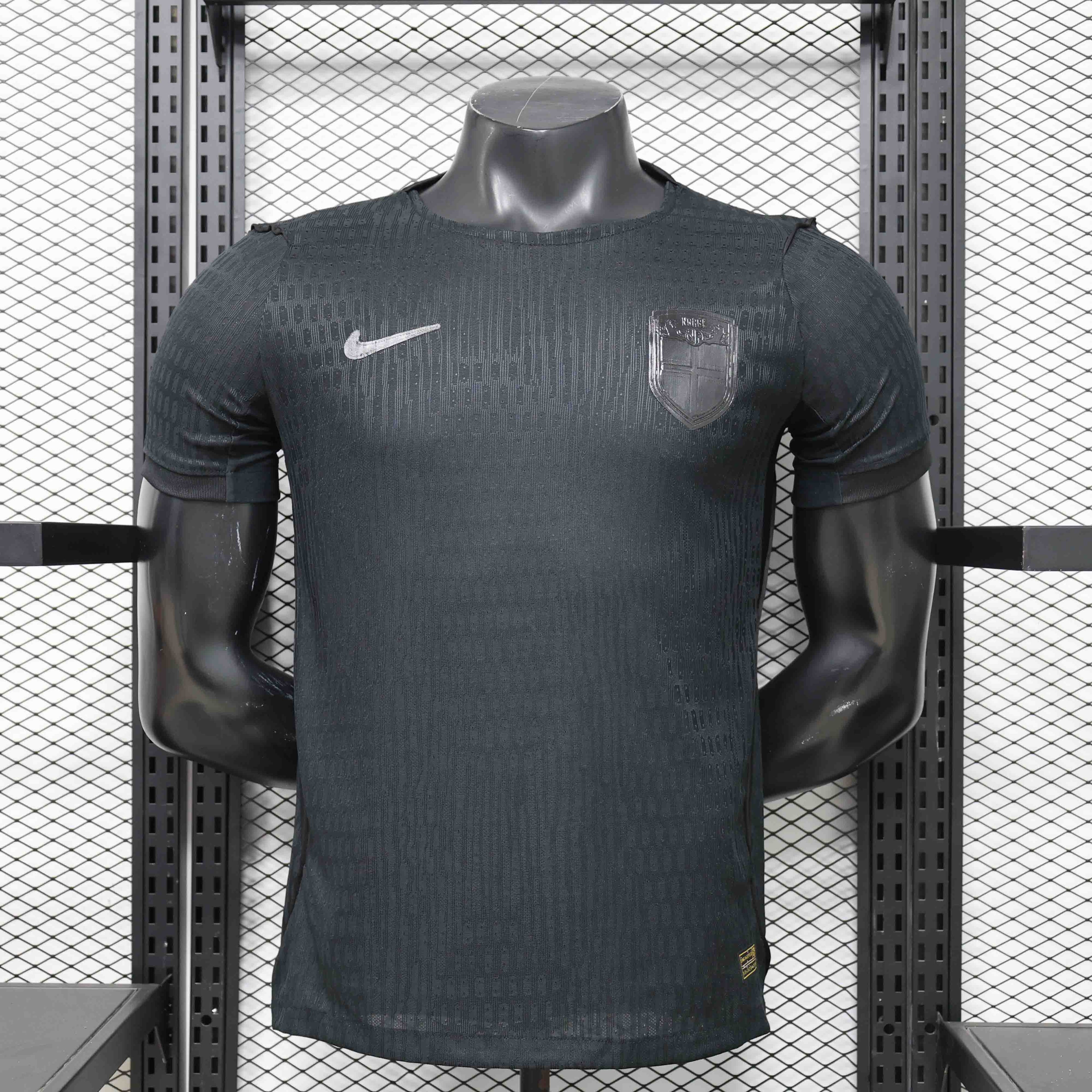 2026  Norway World Cup Away Player Version Jersey