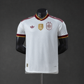 2026 2 Stars Player Version Spain Away World Cup Football Shirt